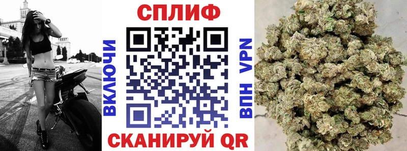 где можно купить Уржум Бошки Шишки гибрид